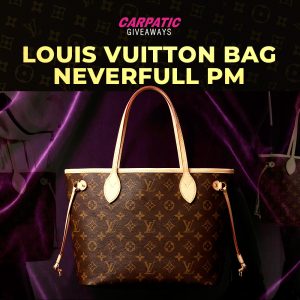 Louis Vuitton bag Neverfull pm